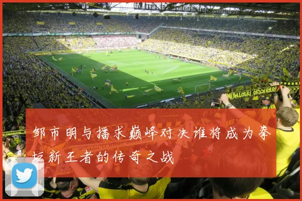 邹市明与播求巅峰对决谁将成为拳坛新王者的传奇之战