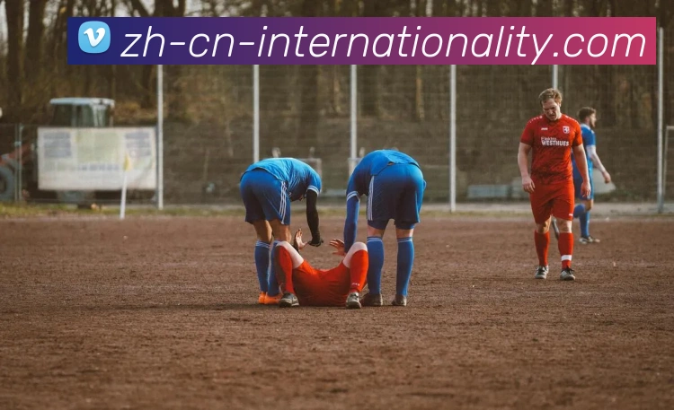 PG国际服务体系