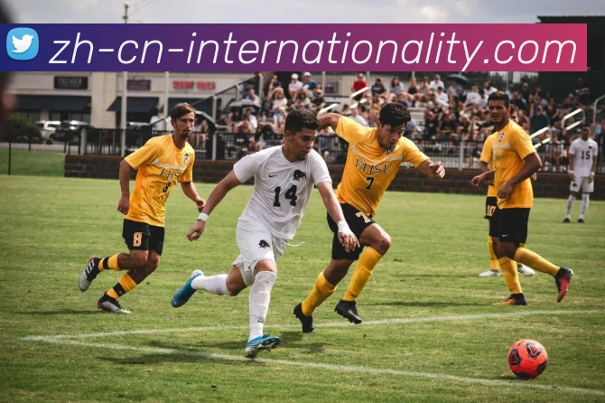 多媒体互动体验