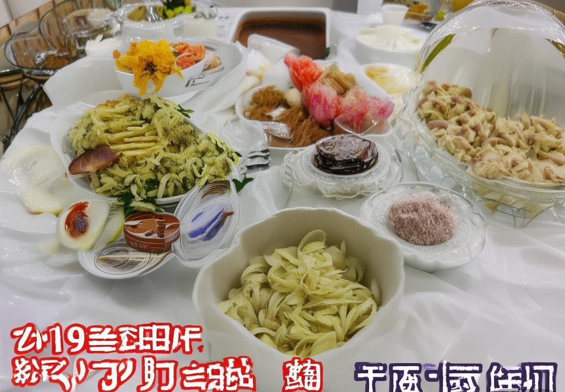 2019厄瓜多尔vs韩国友谊赛回顾与战术分析