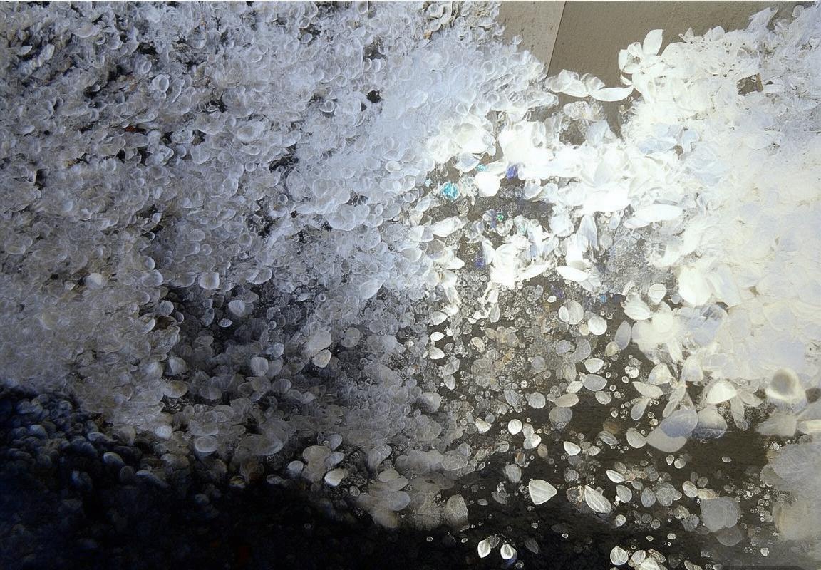 莱昂德罗·格雷茨卡：从青涩少年到德国中场核心的成长之路